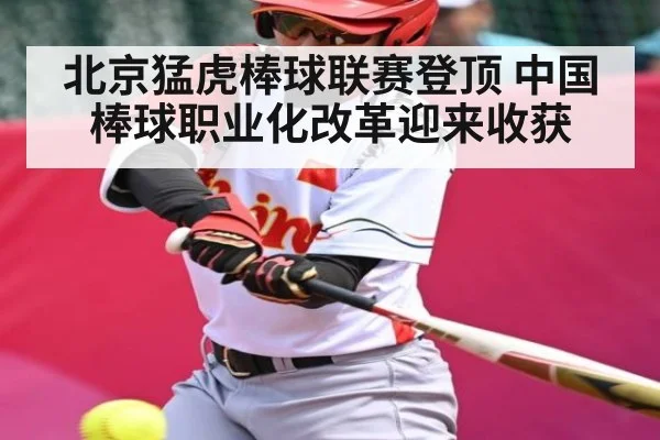 北京猛虎棒球联赛登顶 中国棒球职业化改革迎来收获